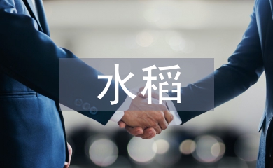 水稻調(diào)查報告