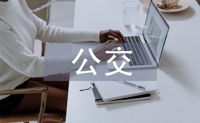 公交服務(wù)質(zhì)量問題與對策