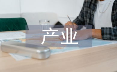 產(chǎn)業(yè)發(fā)展戰(zhàn)略