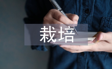 栽培管理論文