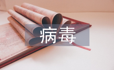 病毒預(yù)防小知識(shí)