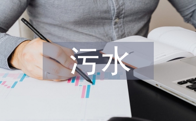 污水處理廠任職報(bào)告