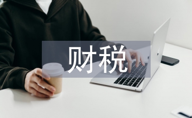 財(cái)稅大數(shù)據(jù)分析