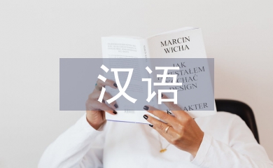 對(duì)漢語國際教育的理解