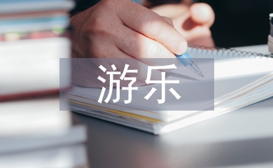 游樂實訓總結(jié)