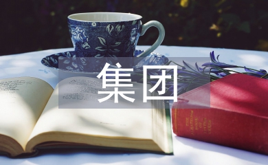 集團醫(yī)院財務管理模式探討