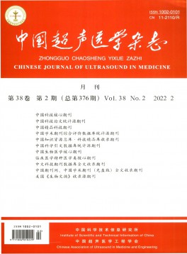 中國(guó)超聲醫(yī)學(xué)