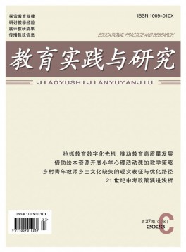 教育實(shí)踐與研究(C)